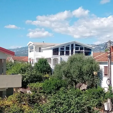 Olea Ποντγορίτσα