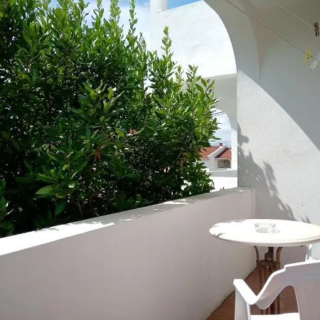 Olea * Ποντγορίτσα