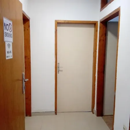 Hostel Olea *