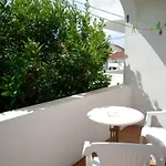 Olea *