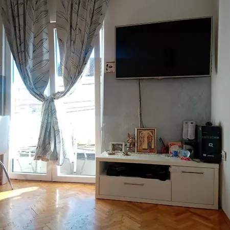 Olea * Podgorica